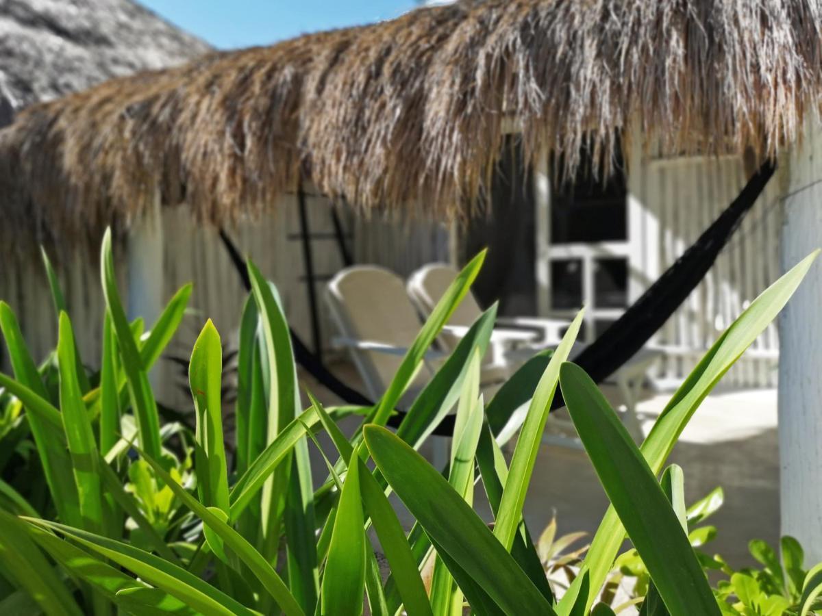 Coco Tulum Hotel Exteriér fotografie