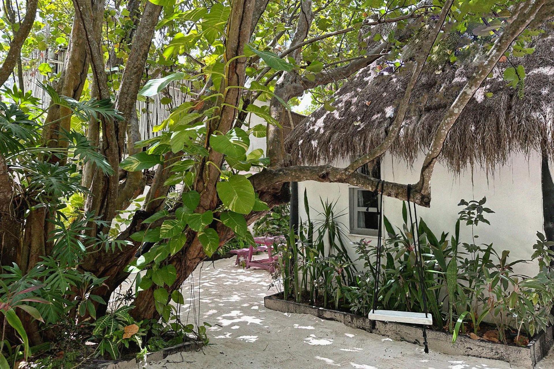 Coco Tulum Hotel Exteriér fotografie